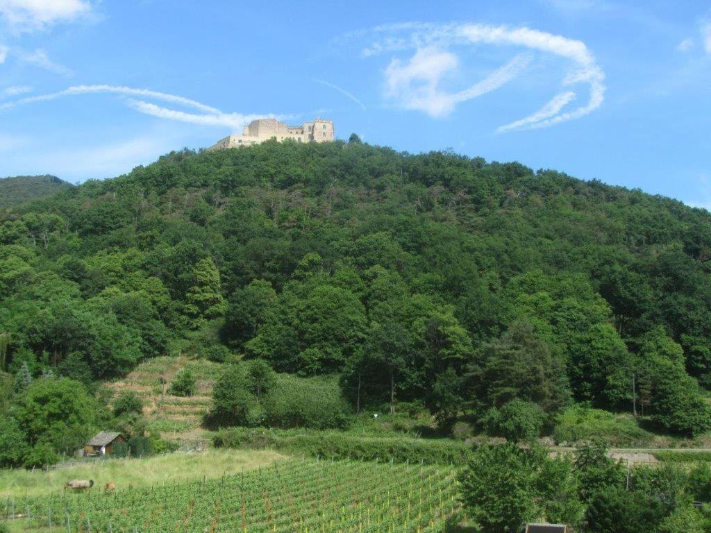 Weinhaus Paradies Neustadt an der Weinstraße Exterior photo